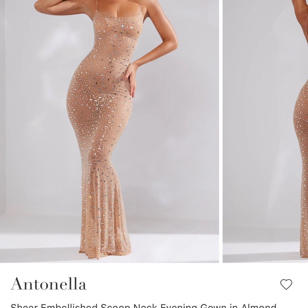 Antonella Sheer Embellished Gown in Almond